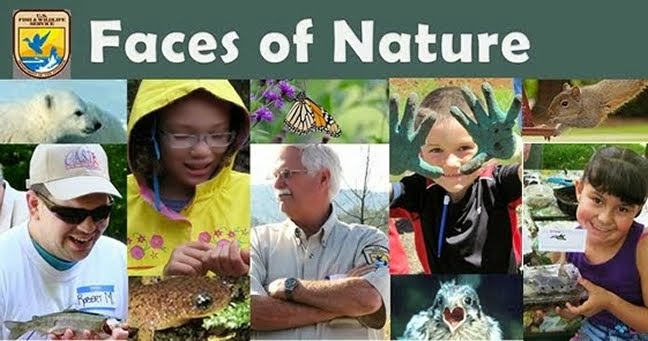 Faces of Nature