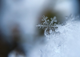 Picture of a beautiful snowflake. Picture of a beautiful snowflake.