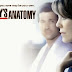 Greys Anatomy Sezonul 11 Episodul 1 online