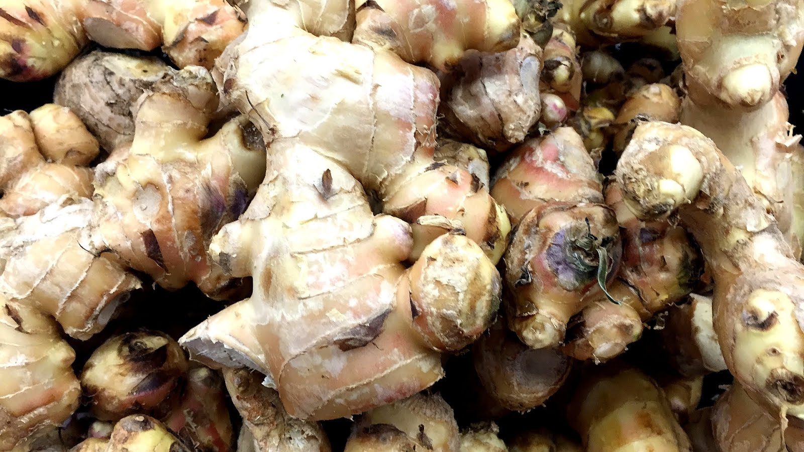 Ginger Fruit Or Vegetable Vege Choices