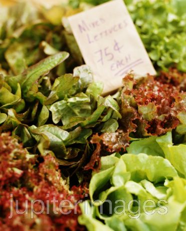 Foods To Eat On Norco S Foods To Eat On Norco S