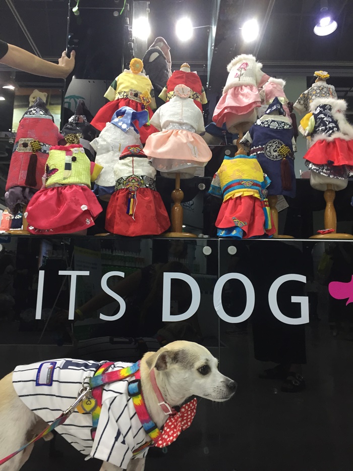 happyhazel Korea Pet Show 2017 KOPET2017