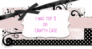 I was chosen top 3 at Crafty Catz