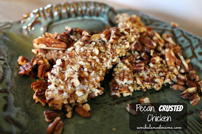 pecan chicken recipes 