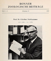 niethammer flies catching auschwitz