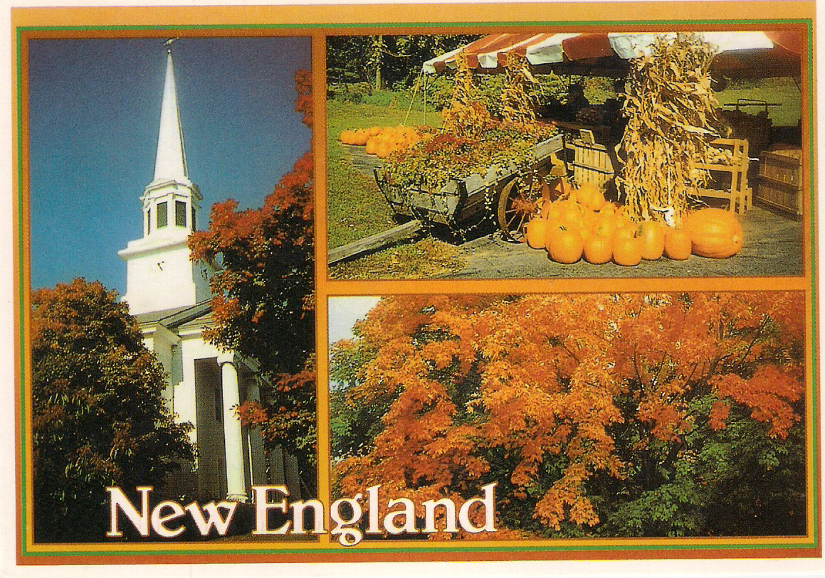 My GratitudeJournal My postcards collection