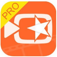 VIVAVIDEO PRO GRATIS SCARICA