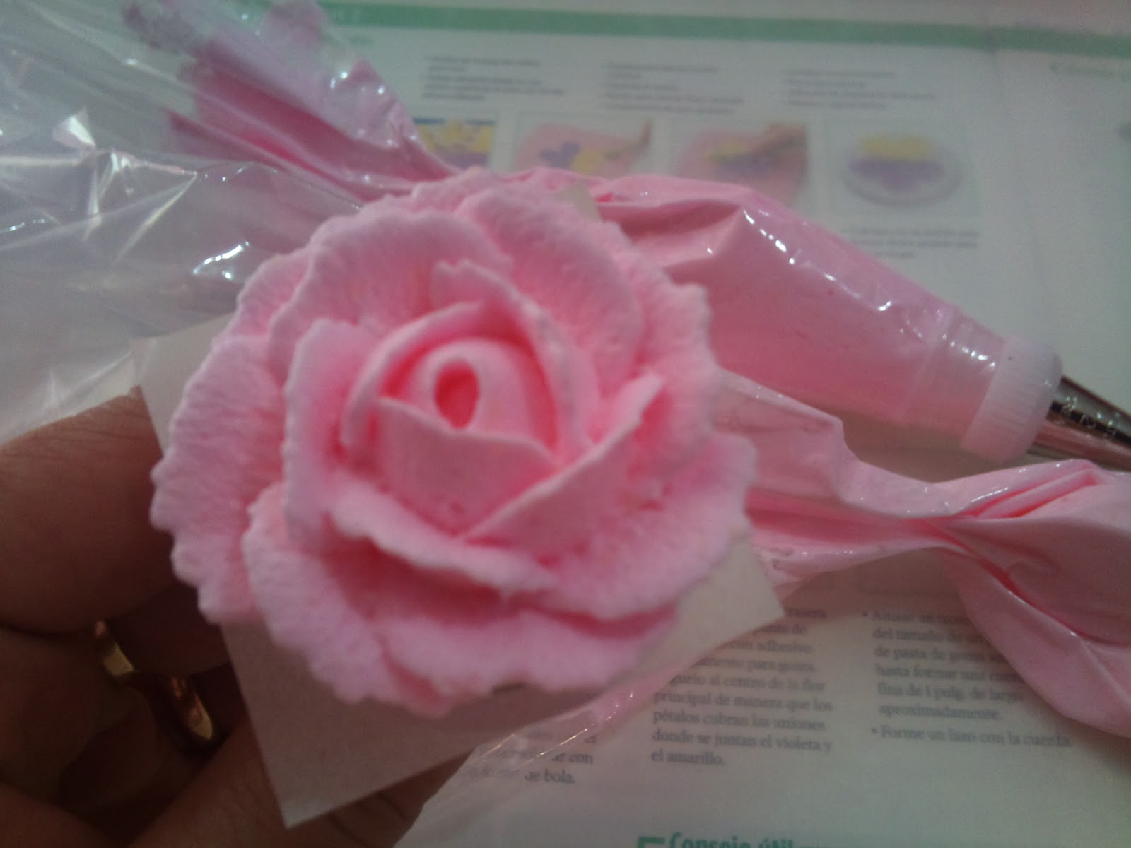 Set Piping Tip Wilton Para Decoración De Tartas Y Magdalenas