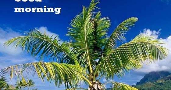 Good morning Message Wishes Shayari Poems Quotes sms in hindi सुप्रभात