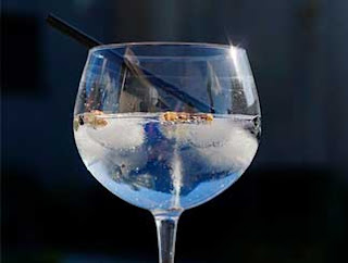 especias para gintonic