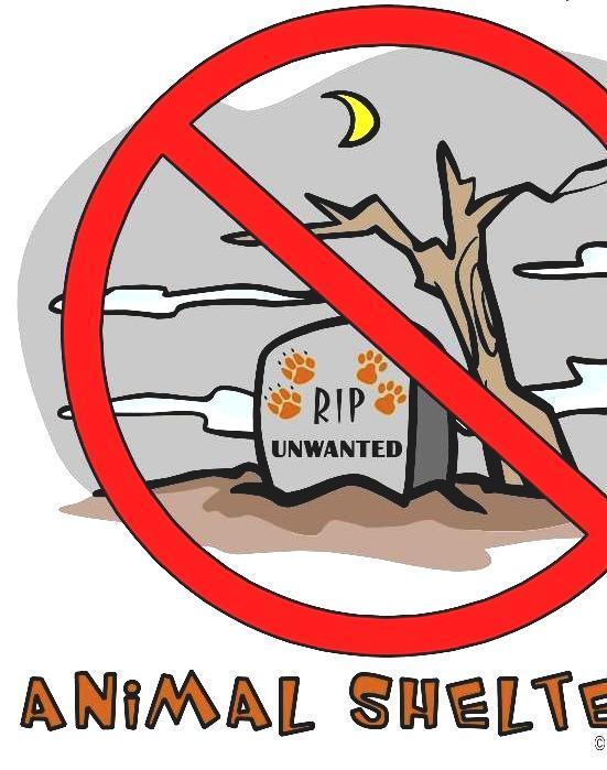 Nokill Shelter Non Kill Dog Shelters