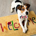 Here’s What It Means If Your Dog Follows You Around Everywhere