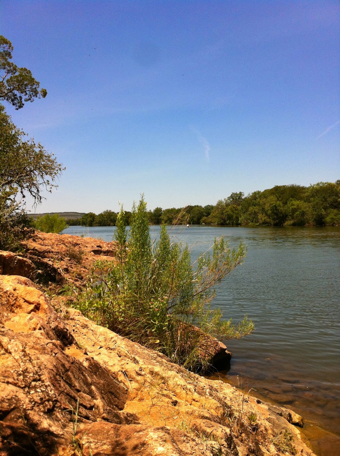 *Dreams Come True* Inks Lake...