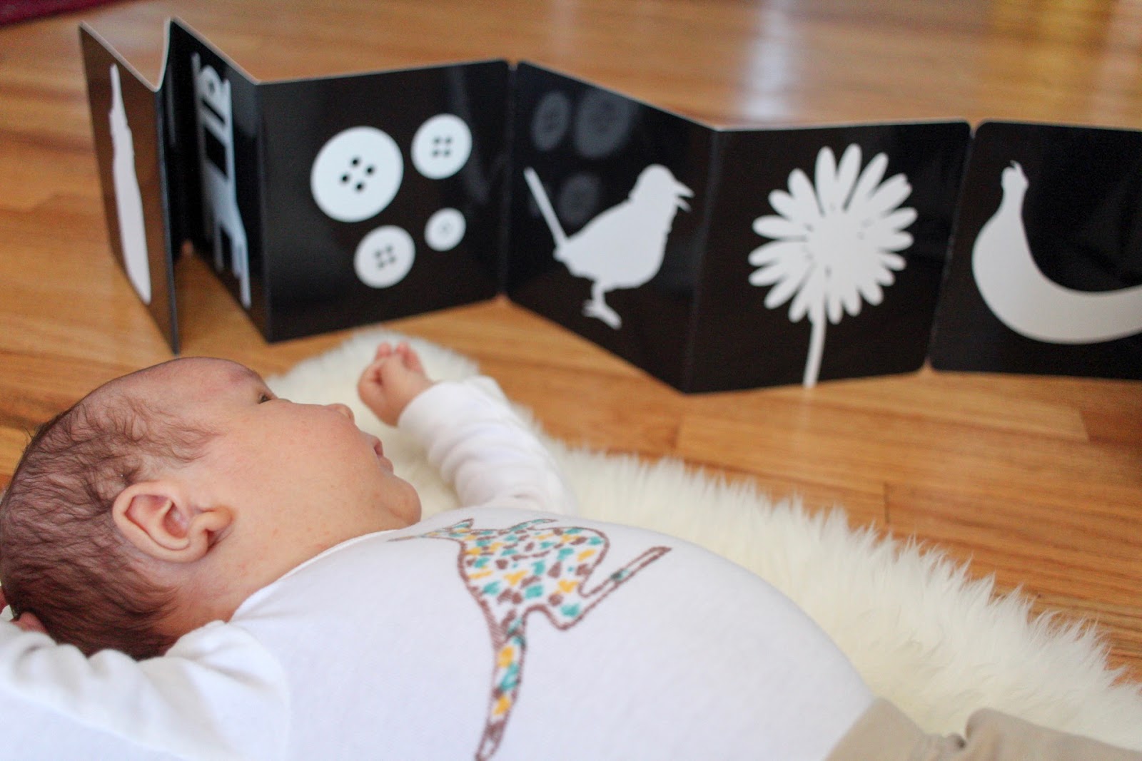 Black and White Images -- Montessori Baby Week 5