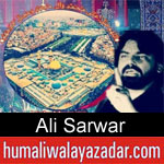 https://www.humaliwalyazadar.com/2018/09/ali-sarwar-nohay-2019.html