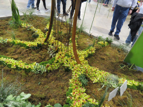 Philadelphia Flower Show 2019- The Seasons- Summer