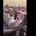 فيديو| الجن لم يتحمل صوت الشيخ القطامي فخرج من جسد احد المصليين