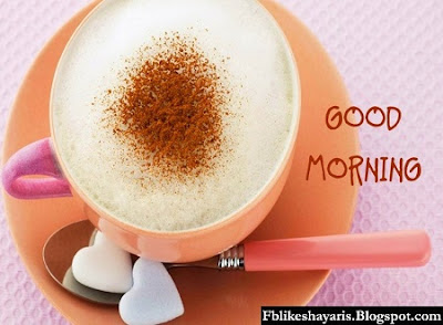 Gud Morning Shayari For Girlfriend Gud Morning Shayari For Girlfriend 2016