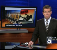 SafeLibraries®: 2011