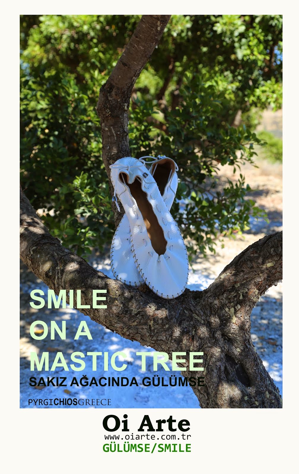 Sakız Ağacında Gülümse
