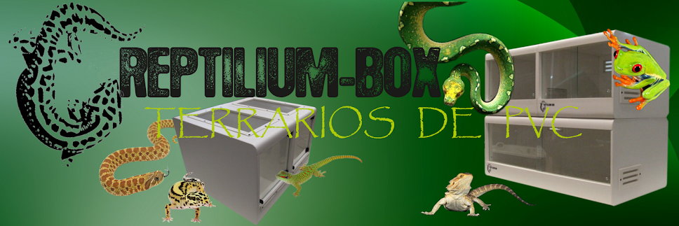 Reptilium-Box