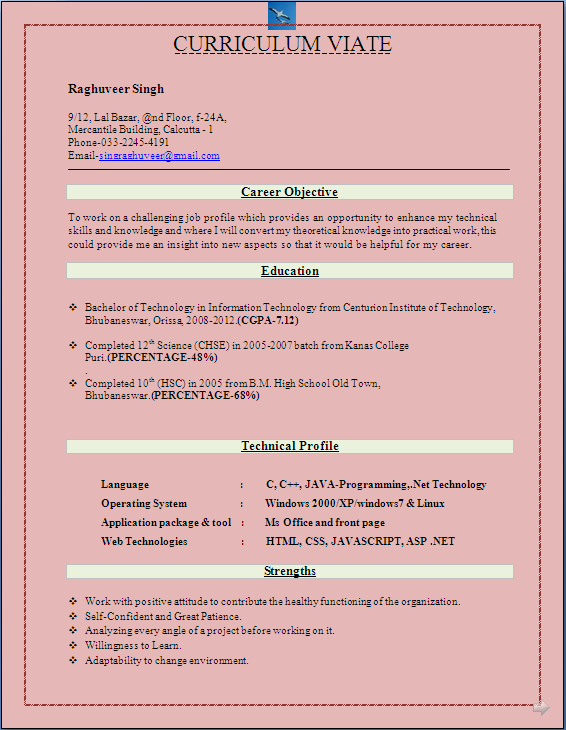 Good deal resume package with instant