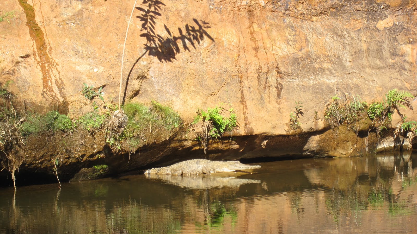 Marty n Susan Townsville to Cloncurry via Normanton