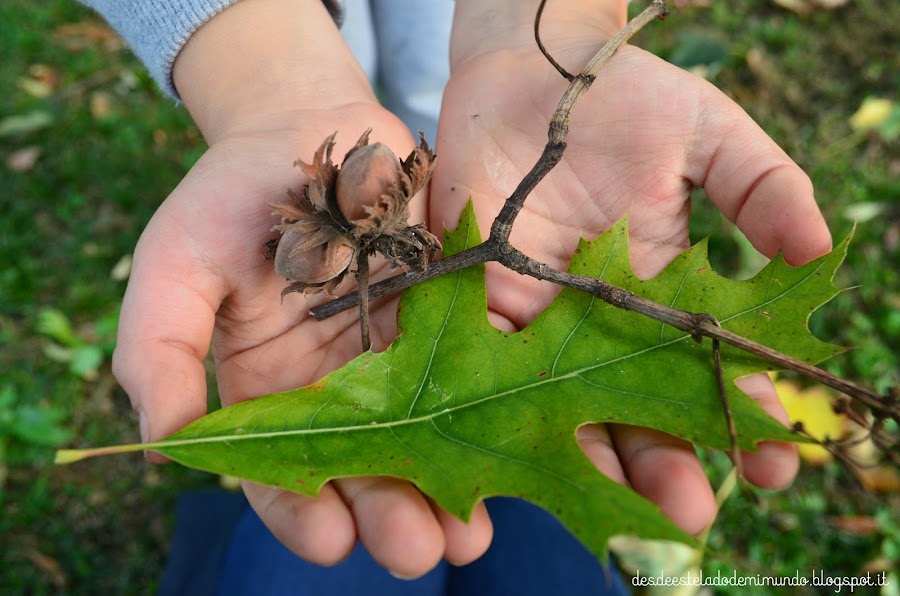 otoño desdeestelaodemimundo.blogspot.it