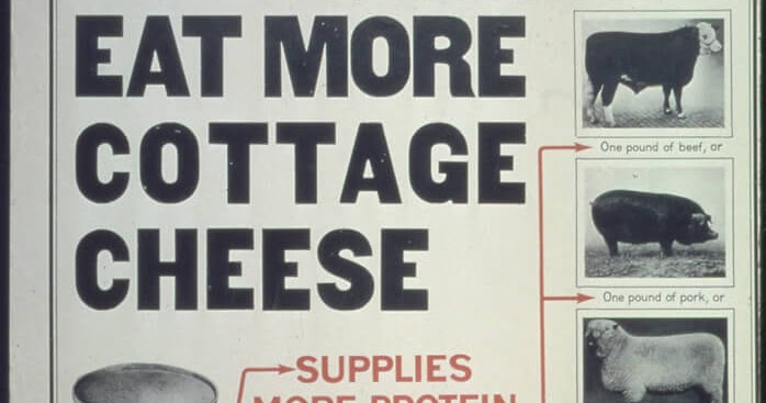 Wanna Curdle Why I Love Cottage Cheese Go Retro