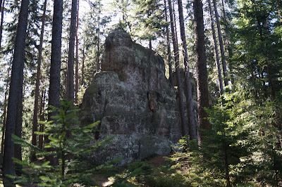 wśród Skalnych Grzybów