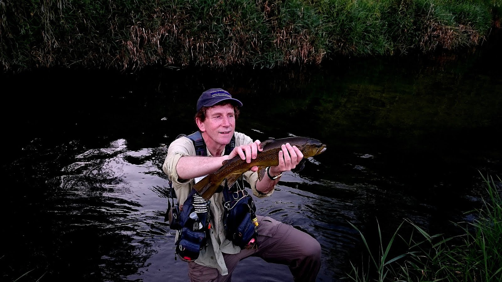 Class A Wild Trout Waters Fish Fish Choices