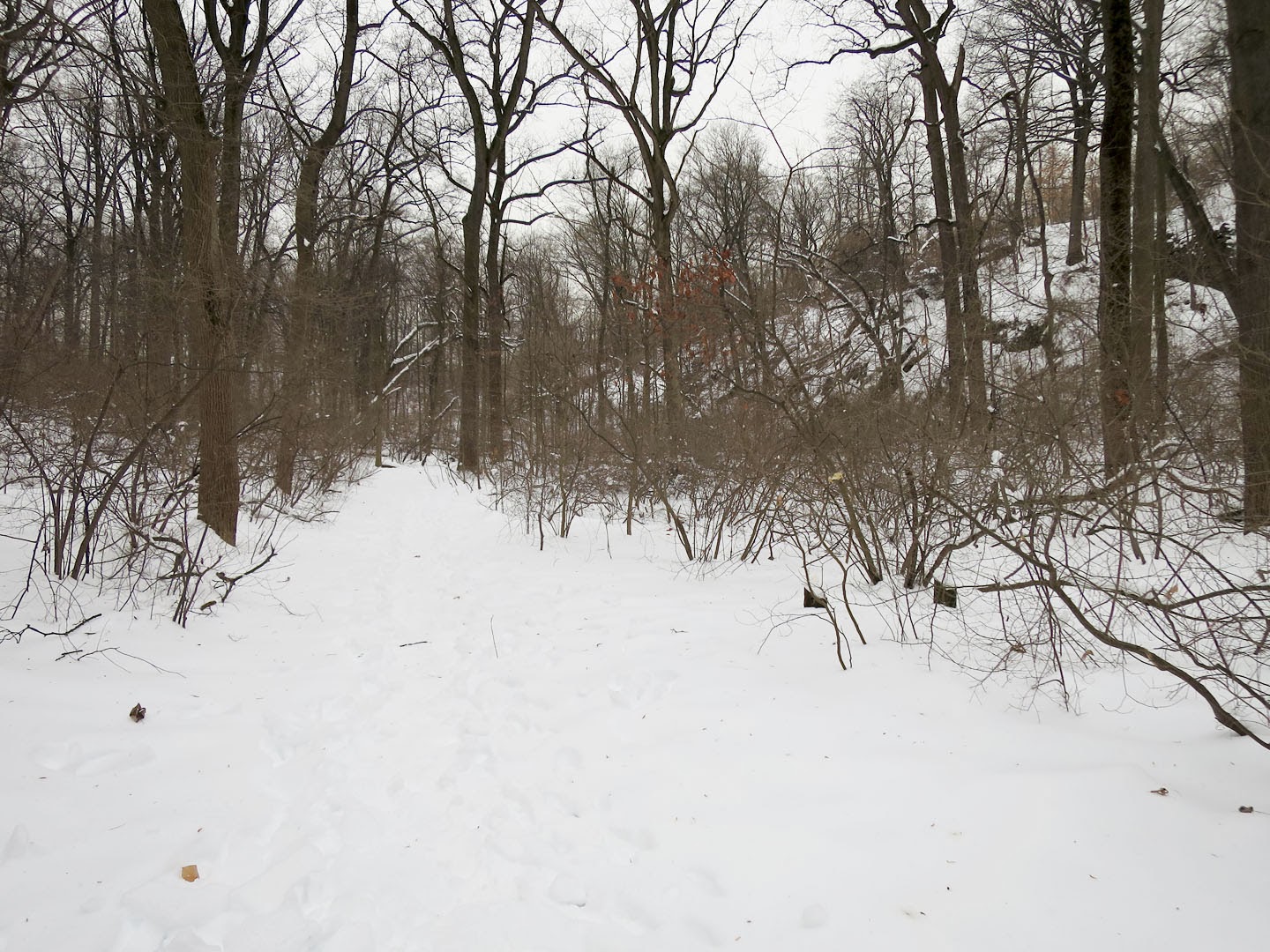 66 Square Feet (Plus) The far north