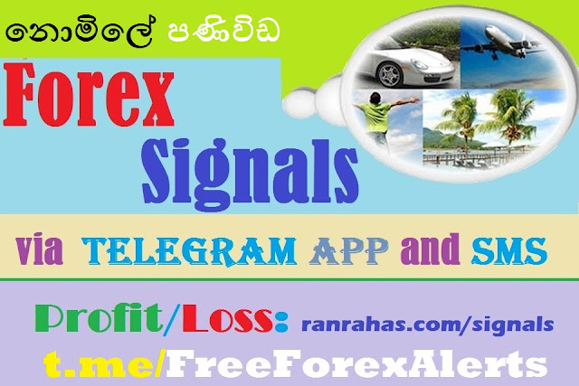 Free forex signals sms alert