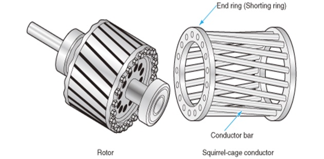Difference between Squirrel Cage Slip Induction Motor - Electrical