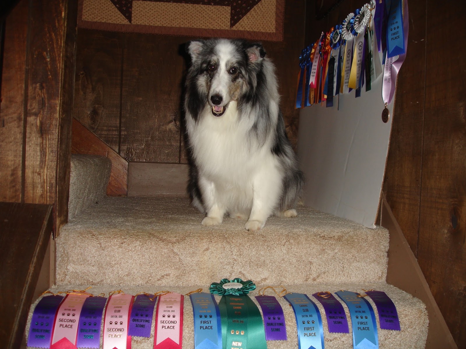 GREENVILLE AREA DOG CLUB OFFERS DOG TRAINING CLASSES