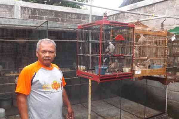 Peluang Usaha di Bidang Peternakan Yang Menjanjikan Peluang Usaha di Bidang Peternakan Yang Menjanjikan
