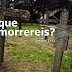 Porque Morrereis?