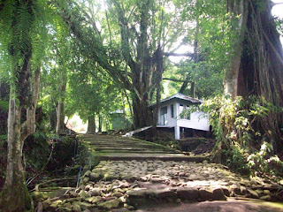 makam godog makam godog