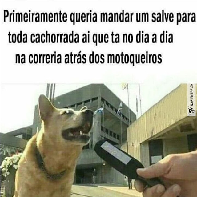 memes engraçados memes engraçados