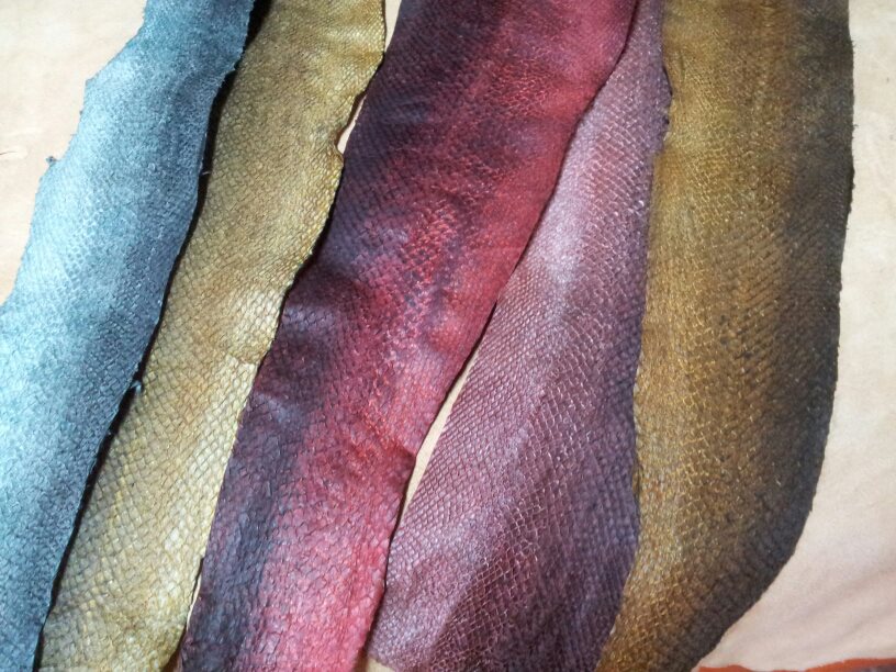 *Numinosity* Salmon Skin Leather and Other Assorted Projects