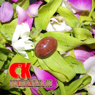 Mustika Asem Kramat Syeh Jangkung Sridin Penelusuran yang terkait dengan mustika SARIDIN manfaat mustika asem , batu mustika asem asli, mustika asem putih , harga mustika asem , batu mustika asem putih , mustika galih asem , mustika biji asem , mustika biji asem jawa