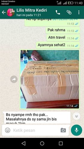 Salahsatu Mitra Kami Untuk Ayam Kampung