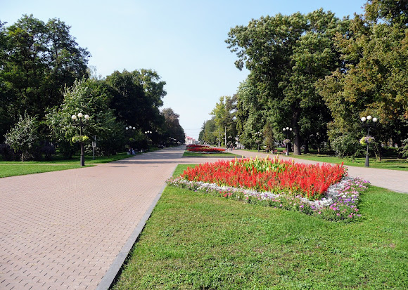 Чернігів. Проспект Миру Чернігів. Проспект Миру