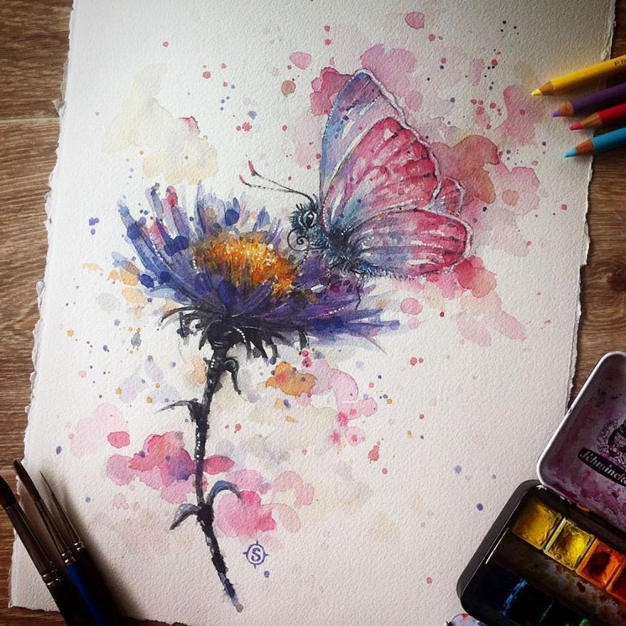 10-The-butterfly-feeding-Sally-Walsh-sillierthansally-Watercolour-Portraits-Paintings-of-Wildlife-www-designstack-co