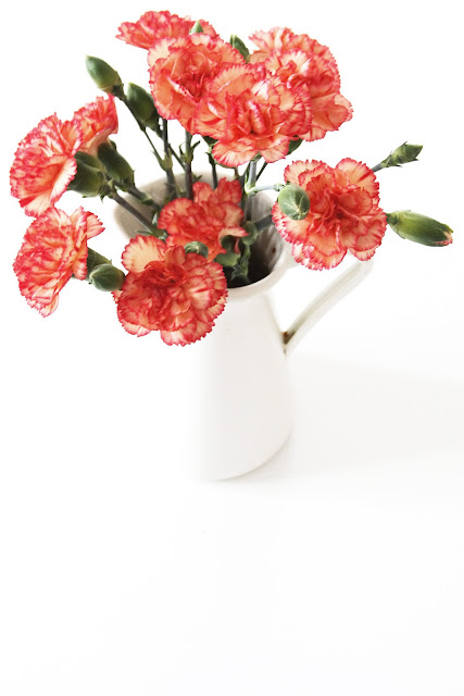carnations, flowers, flower arrangements, Anne Butera, My Giant Strawberry
