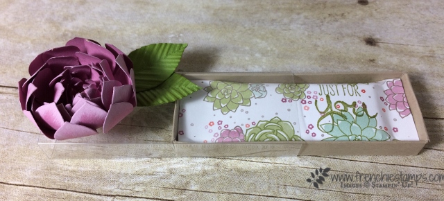 Candy Wrap, Succulent Framelis, Paper Flower, stampin'Up!