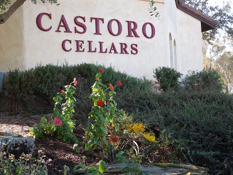 Colorful Flowers Brighten Castoro Cellars in Autumn