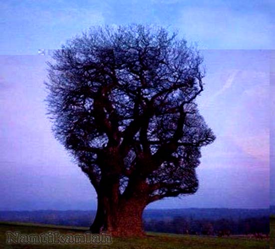 Kumpulan Gambar dan Foto Aneh Unik Tapi Lucu Terbaru