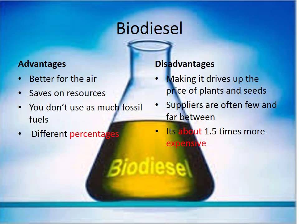 Profil Industri Biodiesel Teknik Kimia