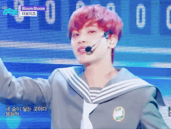 인간체리인지 카드캡터체리인지 체리로 박제된 아이돌 | 인스티즈